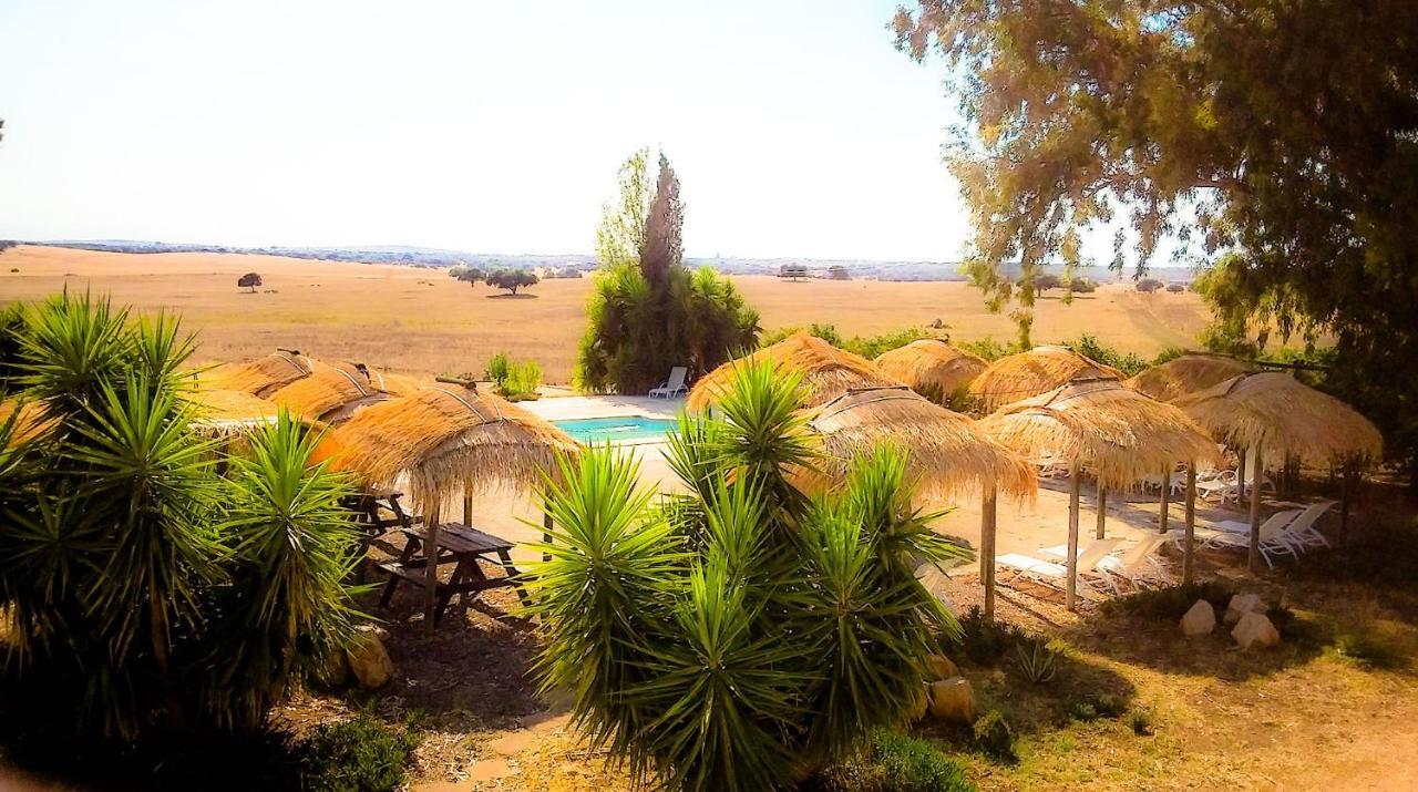 Lodge Monte Do Sobral Alcáçovas Εξωτερικό φωτογραφία