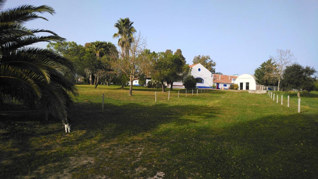 Lodge Monte Do Sobral Alcáçovas Εξωτερικό φωτογραφία