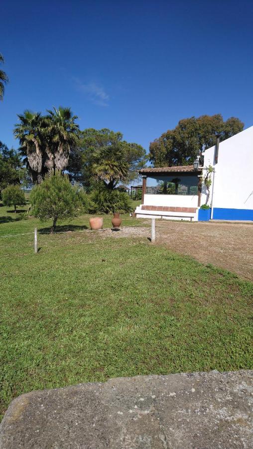 Lodge Monte Do Sobral Alcáçovas Εξωτερικό φωτογραφία