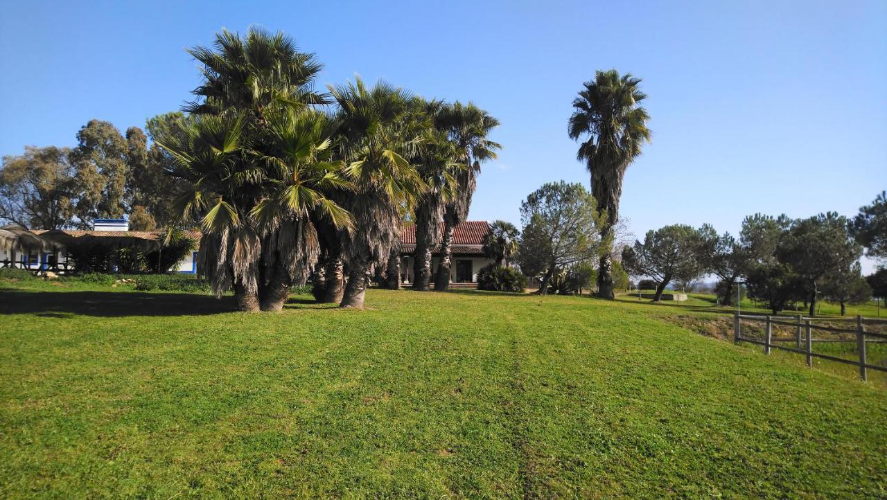 Lodge Monte Do Sobral Alcáçovas Εξωτερικό φωτογραφία
