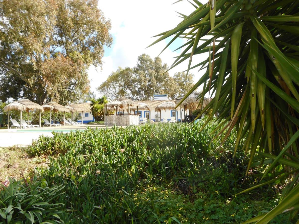 Lodge Monte Do Sobral Alcáçovas Εξωτερικό φωτογραφία