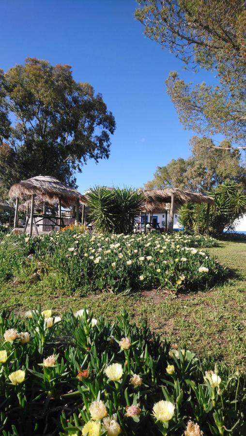 Lodge Monte Do Sobral Alcáçovas Εξωτερικό φωτογραφία